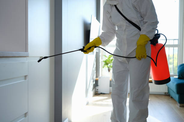 Best Biohazard Mold Removal  in Highland Lakes, AL